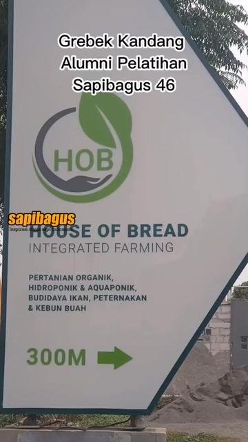 House-Of-Bread